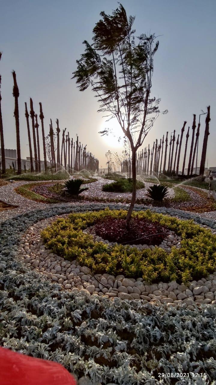 اعمال اللاند  سكيب وتنفيذ شبكات الرى والصرف والزرعات مبنى الرقابة الادارية